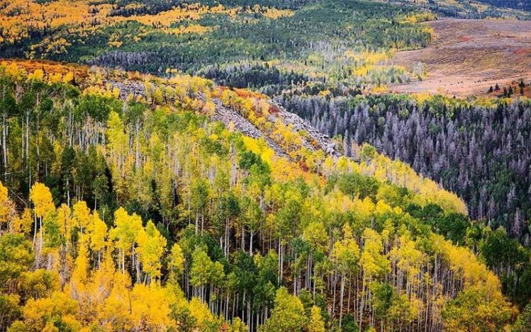 Silver Creek, Ketchum, Idaho, United States