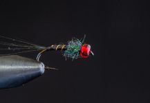 Mikael Högberg 's Fly for Browns - | Fly dreamers 