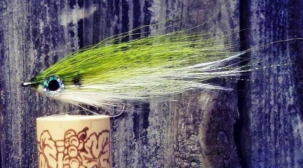 A peanut bunker that is truly an accurate description. As long as the cork almost 3" tyed on a #1 Tiemco: ostrich plume, bucktail and select craft fur plus a little Crystal Flash. The back of the fly is tyed BTD and the last two tyes are Hollow tyes.