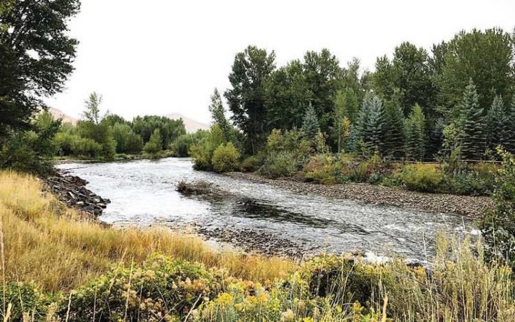 Silver Creek, Ketchum, Idaho, United States