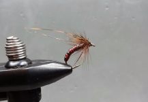 Fly for von Behr trout shared by Mikael Högberg | Fly dreamers 