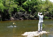 Fly-fishing Situation of Dorado - Photo shared by Esteban Raineri | Fly dreamers 