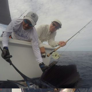 Too many looks a day to NOT catch a sailfish.  Aggressive fish.