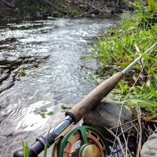 Foto de pesca con mosca