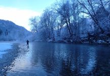 Great Fly-fishing Situation of Danube Salmon - Photo shared by Uros Kristan | Fly dreamers 