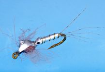 Colin Pittendrigh 's Fly for Rainbow trout - | Fly dreamers 