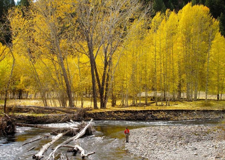 Silver Creek, Ketchum, Idaho, United States