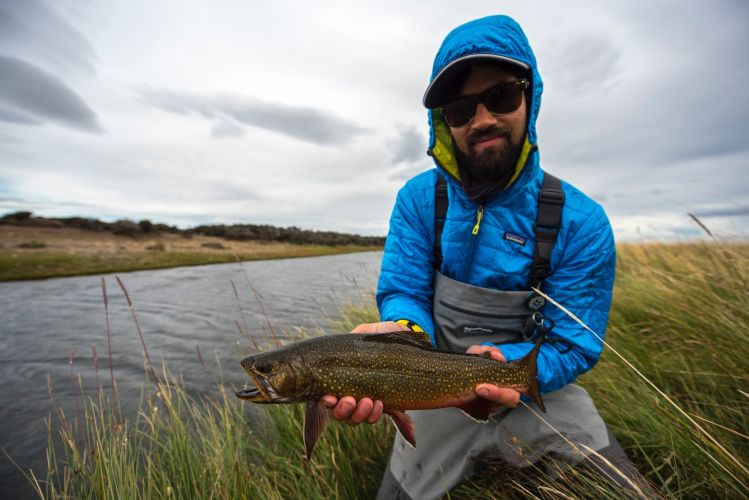 Brookies from south Patagonia