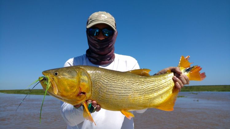 Río Paraná Inferior, Gualeguay, Entre Rios, Argentina