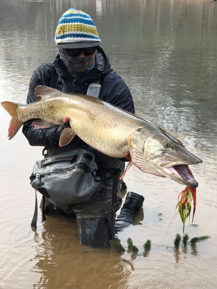 Fishing Report: Allegheny River by Scott Grassi | Fly dreamers