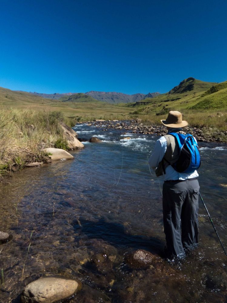 Trout in tbe Drakensberg 