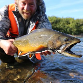 Trophy brook trout