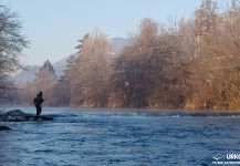 Cool Fly-fishing Situation of Hucho Hucho shared by Uros Kristan from Savinja River 