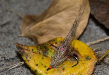 Fly-tying for Salmo trutta - Photo by Morten Jensen | Fly dreamers 