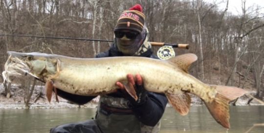 Fishing Report: Allegheny River by Scott Grassi