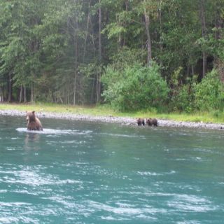Kenai is a great place to learn to fish