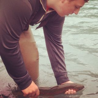 Catch and release rainbow trout