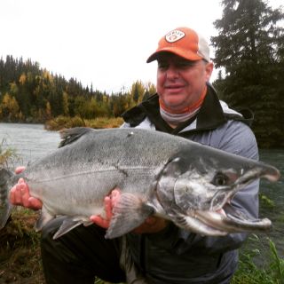 Silver Salmon hog