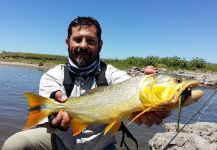 Siguen firmes los dorados en los arroyos bonaerenses