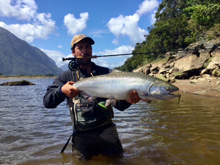 Señores si quieren Cromos de verdad hay pocos lugares como Chile.
Oneof The Best  king Salmon fishing  is in chile . Follow for more info.