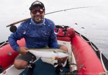 Cristián Quiñones 's Fly-fishing Photo of a Yellowtail amberjack | Fly dreamers 