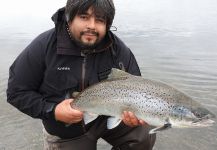  Foto de Pesca con Mosca de Sea-Trout (Trucha Marrón Anádroma) compartida por Fly Cast  (Pablo)  Rio Gallegos | Fly dreamers