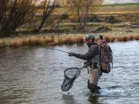 Fly fishing picture