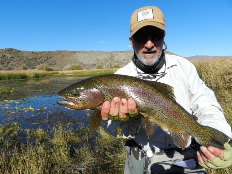 arroyo pescado, Los cipreses, Chubut, Argentina