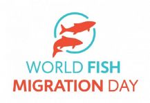 World Fish Migration Day: 21st April 2018