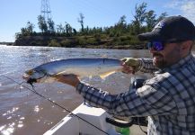 Fly-fishing Photo of Raphiodon vulpinus shared by Pablo Bianchini | Fly dreamers 