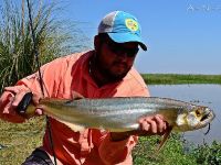 Foto de pesca con mosca