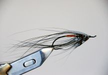 Spey Flies