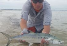 Great Fly-fishing Situation of Spanish Mackerel - Image shared by How Beates | Fly dreamers