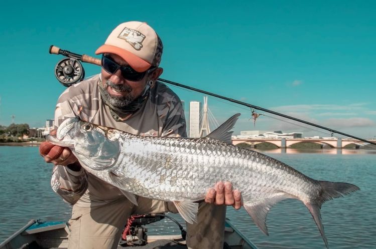 Brazilian tarpon in Recife cite!!! YHEEEEEE!!!!!