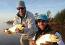  Fotografía de Pesca con Mosca de River tiger por JOSE LUIS MARIN | Fly dreamers 