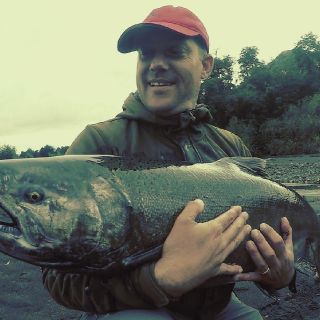 Chinook Salmon.