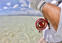 Brandon Leong 's Fly-fishing Image of a Bonefish | Fly dreamers 