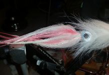 Fly-tying for Yellowfin Tuna - Photo by David Bullard | Fly dreamers 