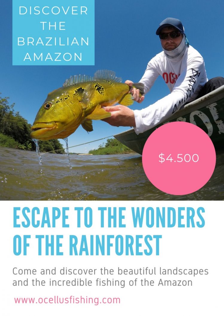 SEASON 2019 - RIO TAPAJÓS

We are already making reservations for the next season in the Tapajós river.

Come to know the charms of the Amazon 

ocellusfishing@outlook.com