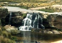 Great Fly-fishing Situation of Salmo fario shared by Hugo Tello 