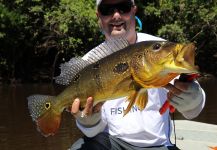 Ocellus Fishing 's Fly-fishing Image of a Peacock Bass | Fly dreamers 