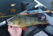  Fotografía de Pesca con Mosca de Perca Europea por Lukas Bauer | Fly dreamers