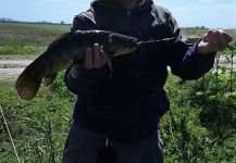 Wolf Fish Fly-fishing Situation – Leandro E. shared this Impressive Pic in Fly dreamers 