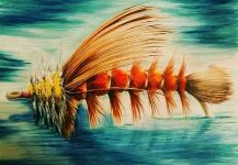 Silas Beck's Cool Fly-fishing Art Photo | Fly dreamers 