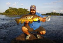JUAN Winchester 's Fly-fishing Catch of a Peacock Bass | Fly dreamers 