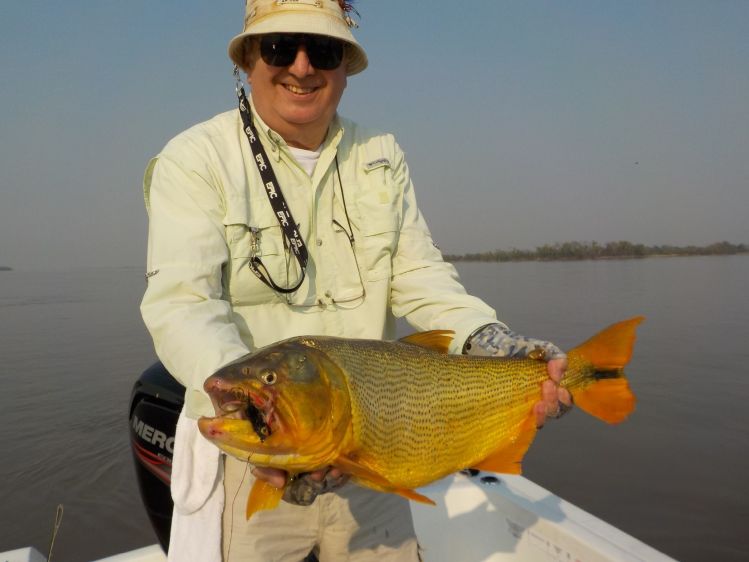 Dorados en Esquina - Corrientes - Argentina