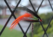 Dorado flies