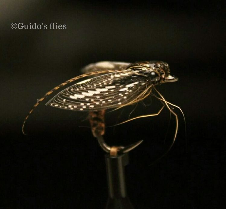 5 Questions with German Fly Tyer Guido Lauff