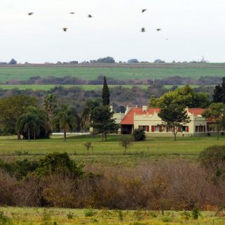 Fly fishing picture