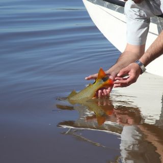 Fly fishing picture